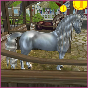 SPORT FRIESIAN (2).png