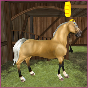 Projekt bez nazwy (3).png