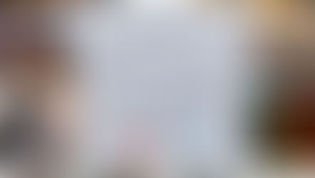 Requerimos un protocolo preciso y concreto.