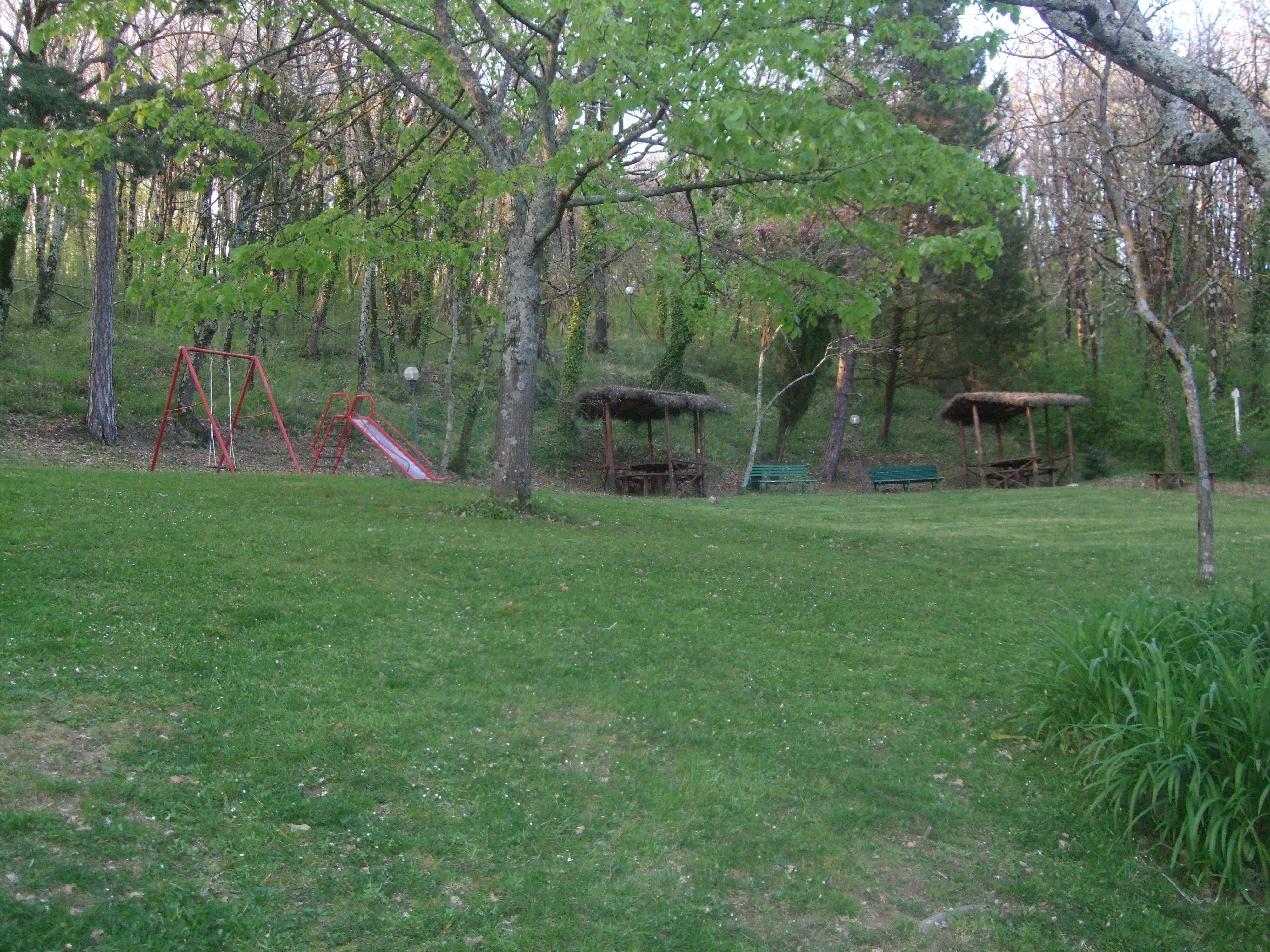 DSCF3802