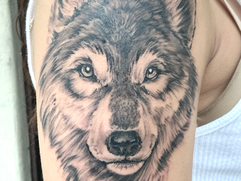 Dog