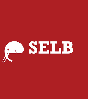 logo selb sem 5 anos fundo vinho-01.jpg