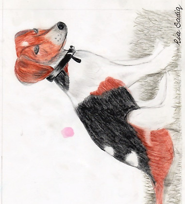 Pencil dog_edited.jpg