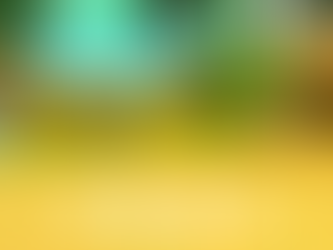 2023年8月29日(火)〈火曜日の部〉活動記録-狭山市バドミントンこども教室 フロッシュ