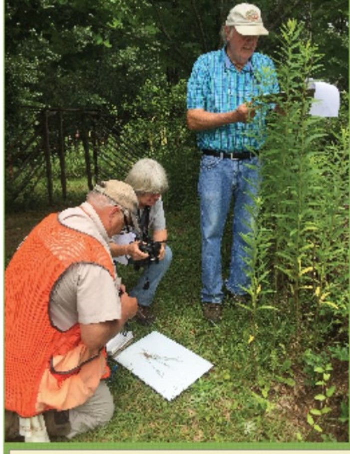 Basic Plant ID Class Allen Acres B and B