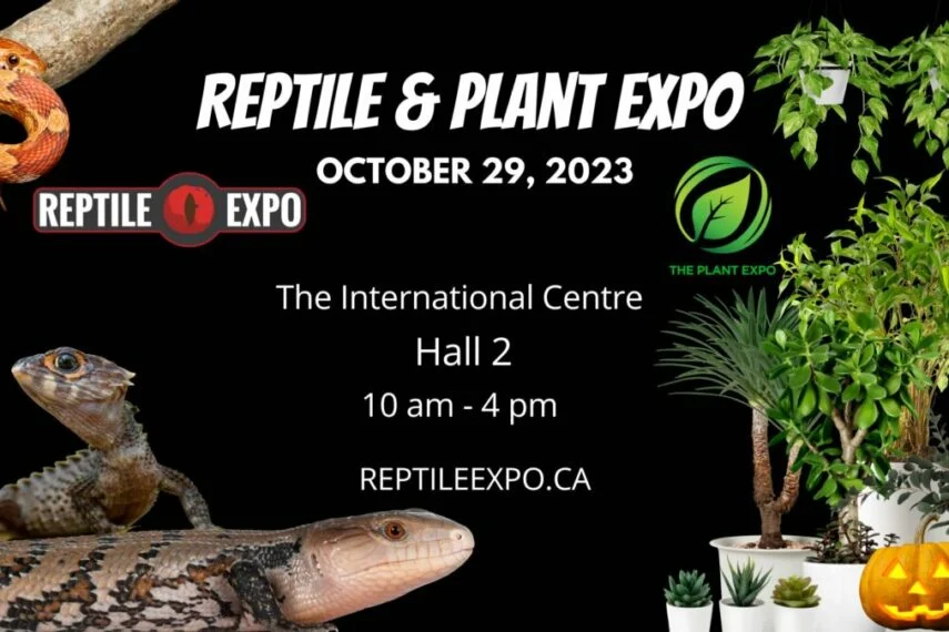 Reptile and Plant Expo
