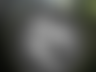 喜欢收藏硬币的朋友们看过来啦~全世界只有7500枚哦!