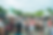 Newmarket Community Craft Beer and Beverage Festival