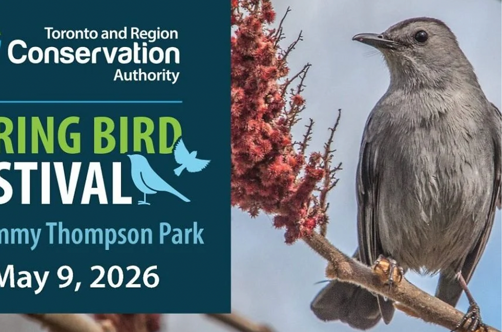TRCA Spring Bird Festival