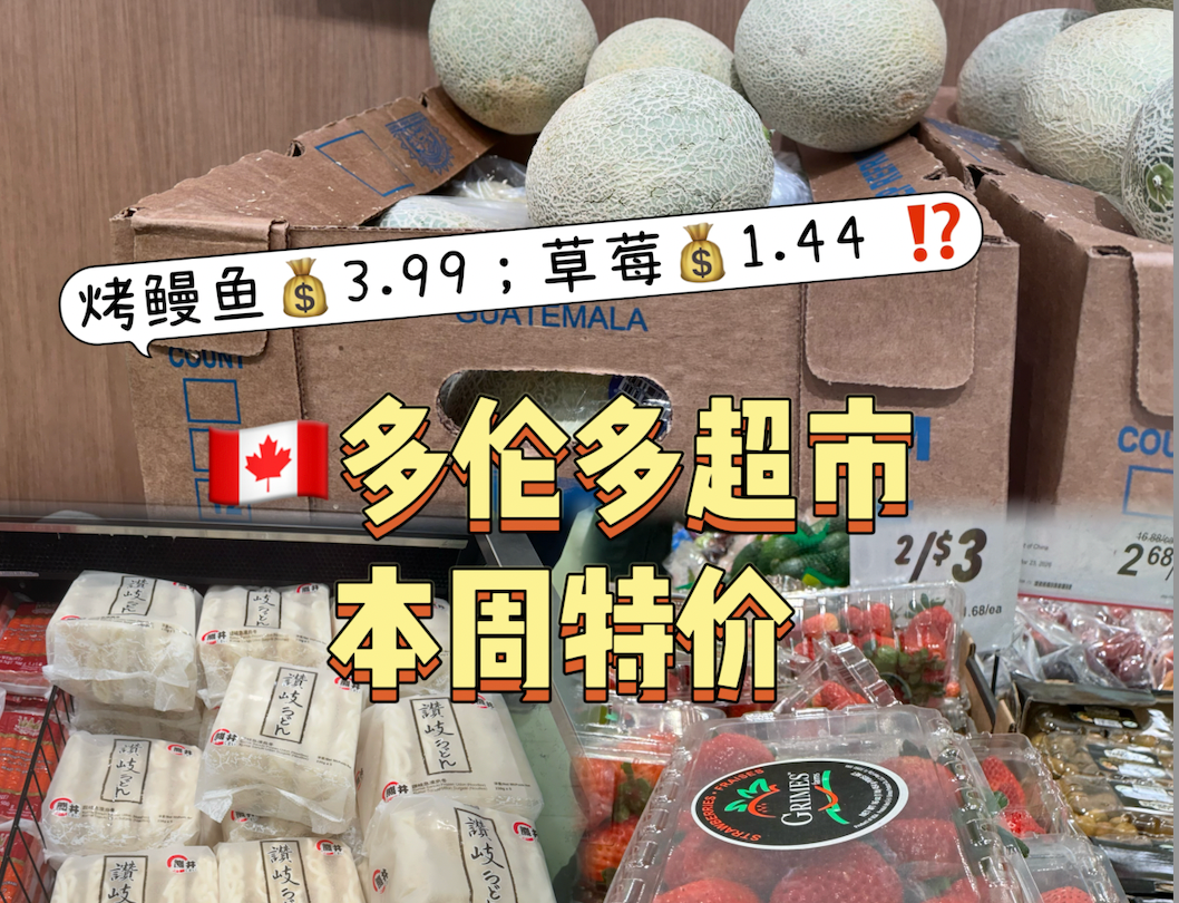 烤鳗鱼💰3.99；草莓💰1.44 ⁉️🇨🇦多伦多超市特价