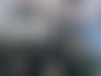 韩国男团ONF加拿大演唱会招义工