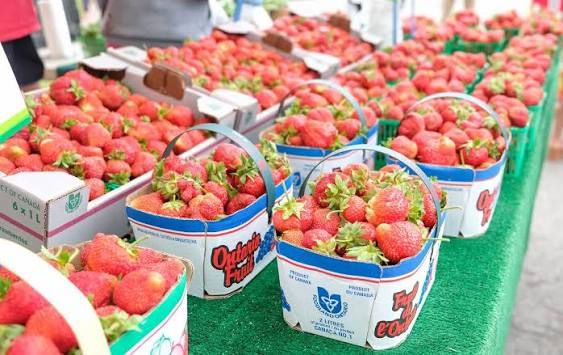 Whitchurch-Stouffville Strawberry Festival