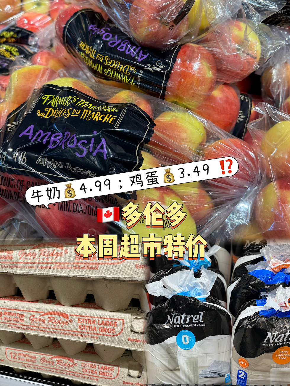 牛奶💰4.99;鸡蛋💰3.49 ⁉️🇨🇦多伦多超市特价
