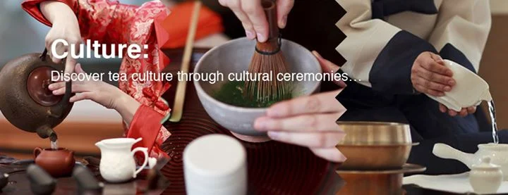 Toronto Tea Festival