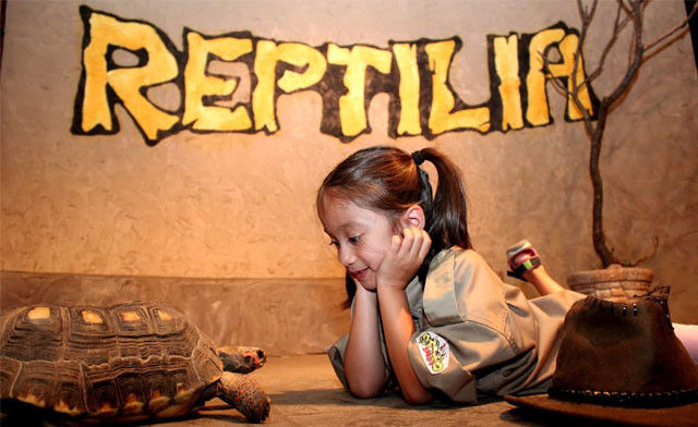 【特价门票】爬行动物馆Reptilia Zoo Vaughan