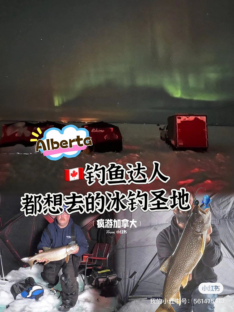 🇨🇦加拿大钓鱼达人都想去的冰钓圣地🎣