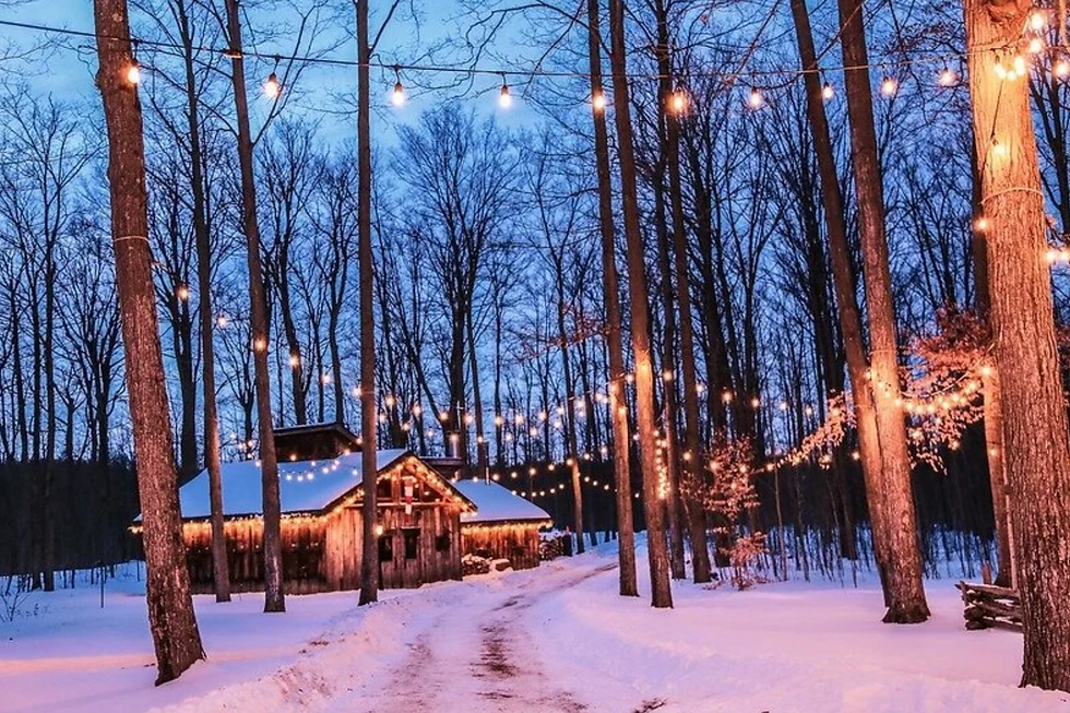 Winterlit – Nature Illuminated