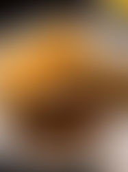 🇨🇦纽约客牛排＋牛肋排+羊肉手抓饭…💰30+的牛扒店自助餐