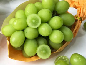 葡萄界的香奈兒shine muscat 掀起多倫多消費狂潮