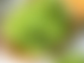 葡萄界的香奈兒shine muscat 掀起多倫多消費狂潮