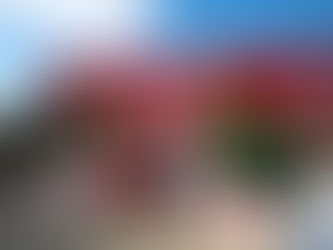 The Coca‑Cola Caravan 🇨🇦加拿大巡游开始❗️