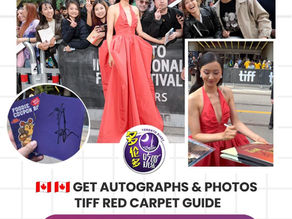 TIFF 2026红毯Fan Zone攻略:不用电影票也有机会近距离看到明星