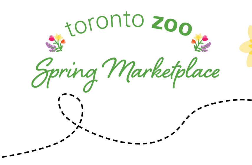 Toronto Zoo Spring Marketplace
