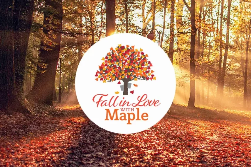 Fall in Love with Maple