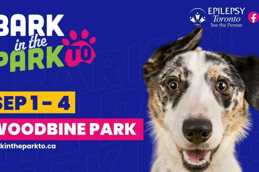 Bark in the Park TO 多伦多吃喝玩乐Toronto Diary