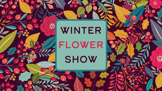 Centennial Park Conservatory Winter Flower Show