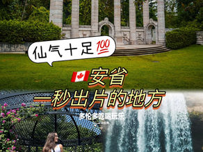 🇨🇦仙气十足💯安省一秒出片的地方