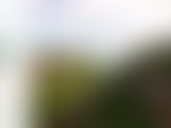 想不到Thunder Bay还能这样玩!超详细打卡攻略再次,拿走不谢!