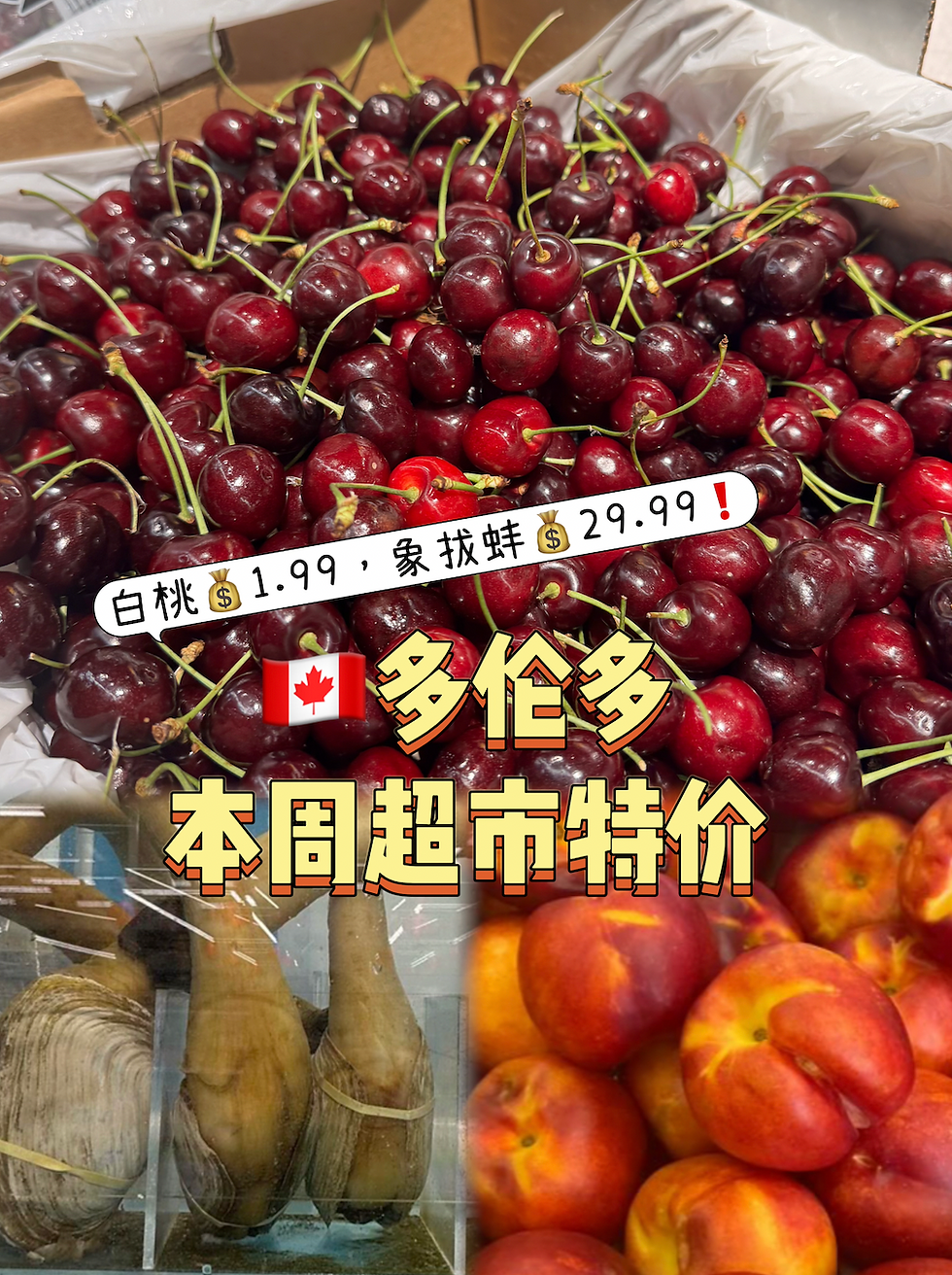 白桃💰1.99,象拔蚌💰29.99❗️🇨🇦多伦多超市特价