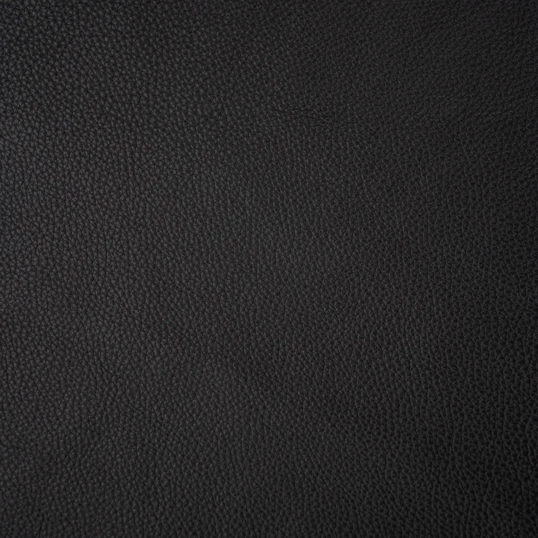 DSC00239.webp