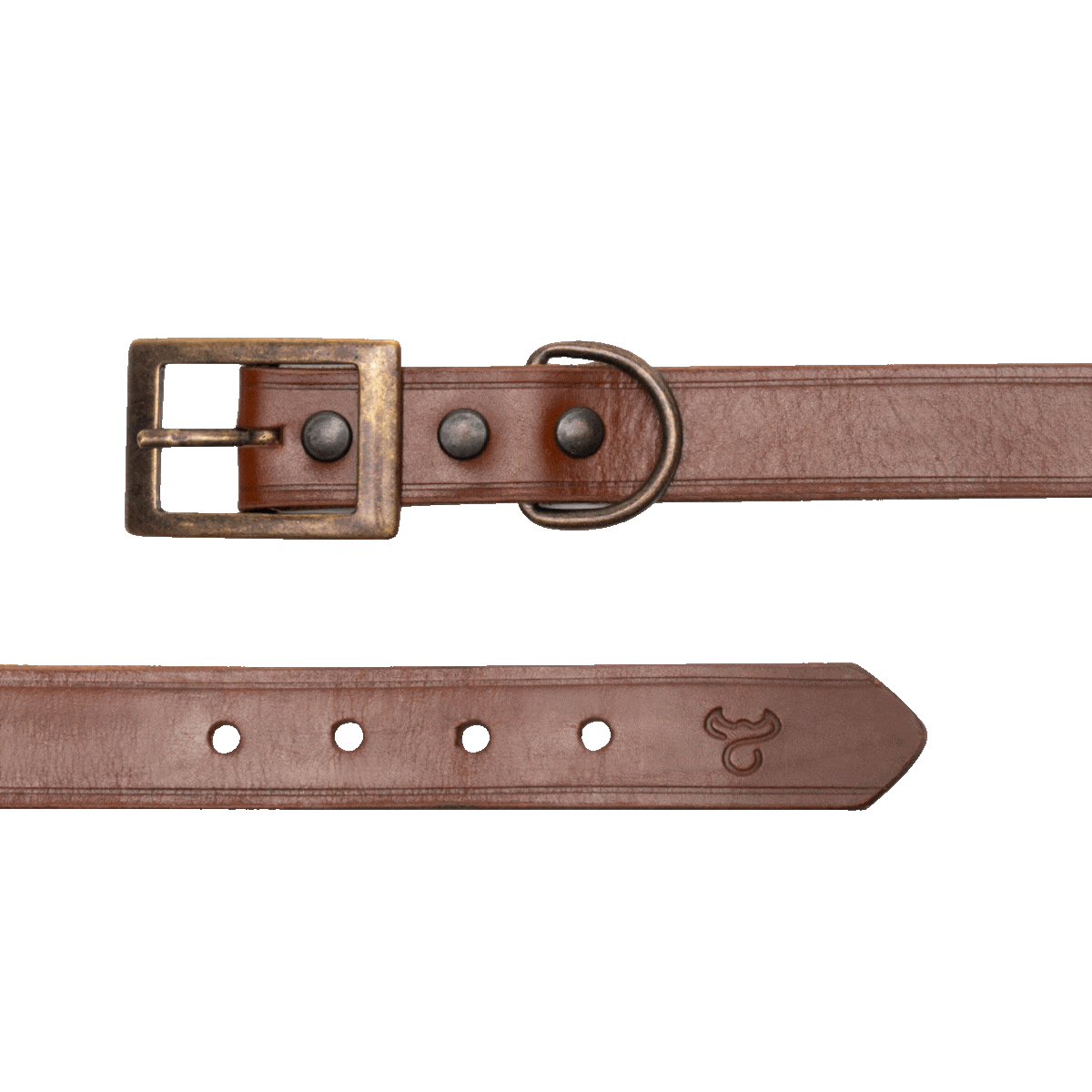 DOG COLLAR.gif