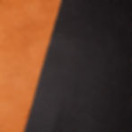 Bicolor Orange