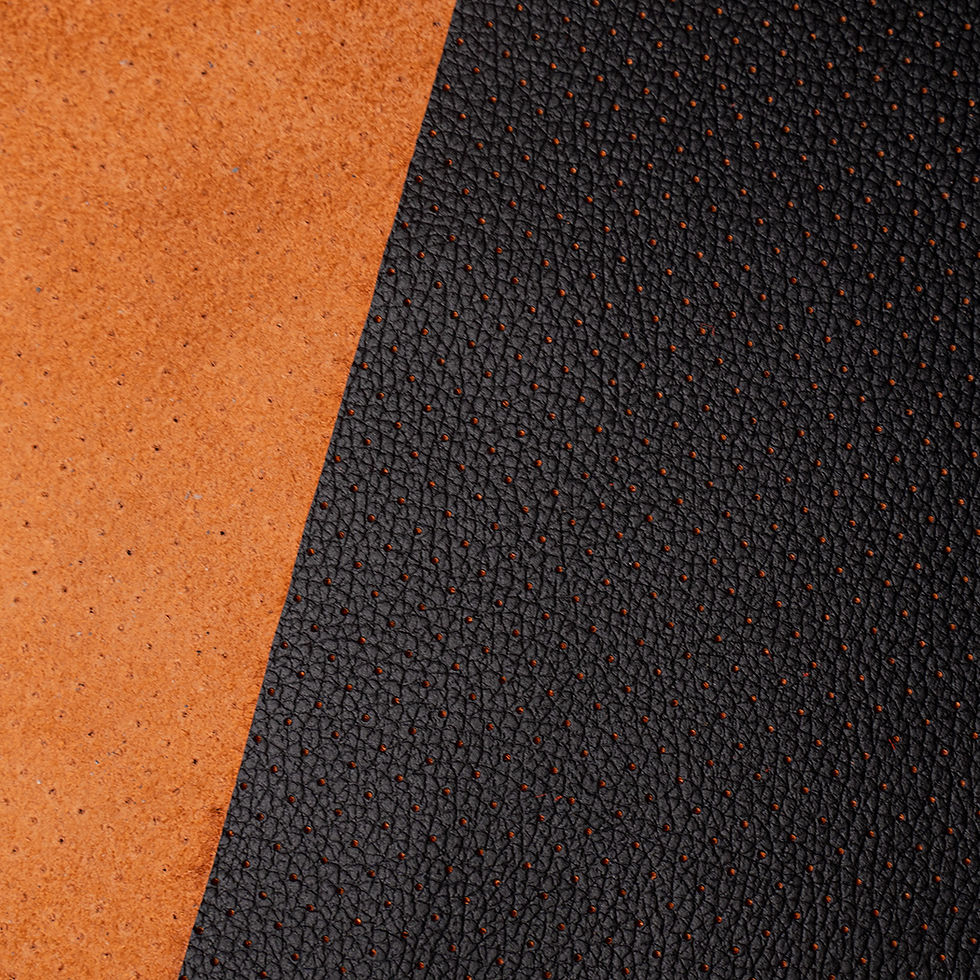Bicolor Orange