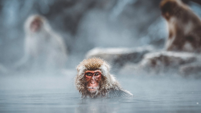 5 ideas to help you deal with unpleasant people
