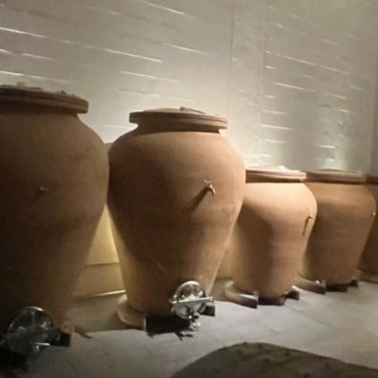 サムネイル： セッテ　ニッツア　DOCG　 2019　【赤】Gv：バルベーラ　樹齢80 年の最上の区画で栽培された最上バルベーラ使用キュヴェ