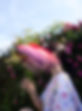 cartel bloom4.jpg