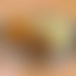 てぃしょく