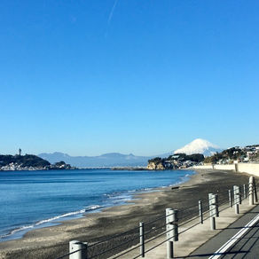 仕事が始まってしまった