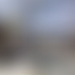 せっかくだから