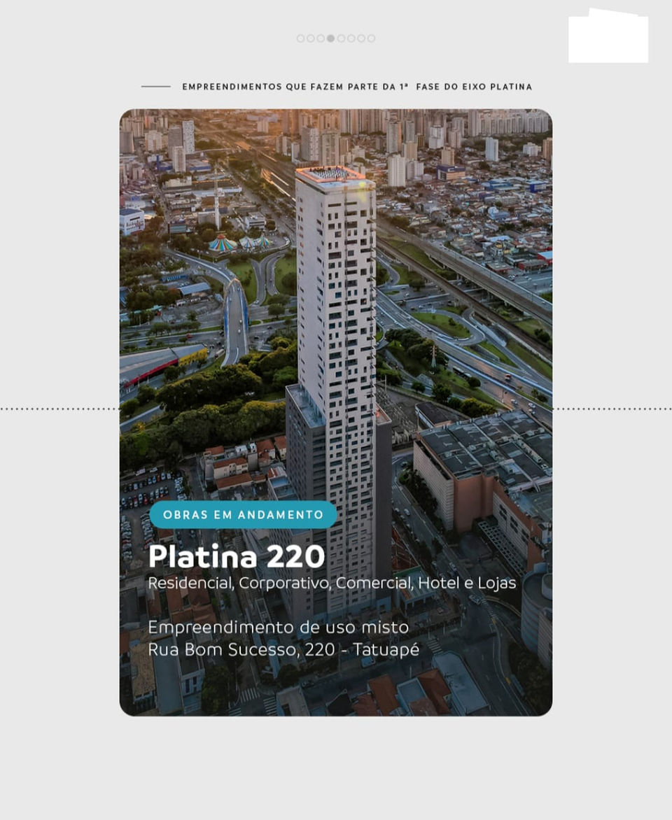 Platina220.jpeg