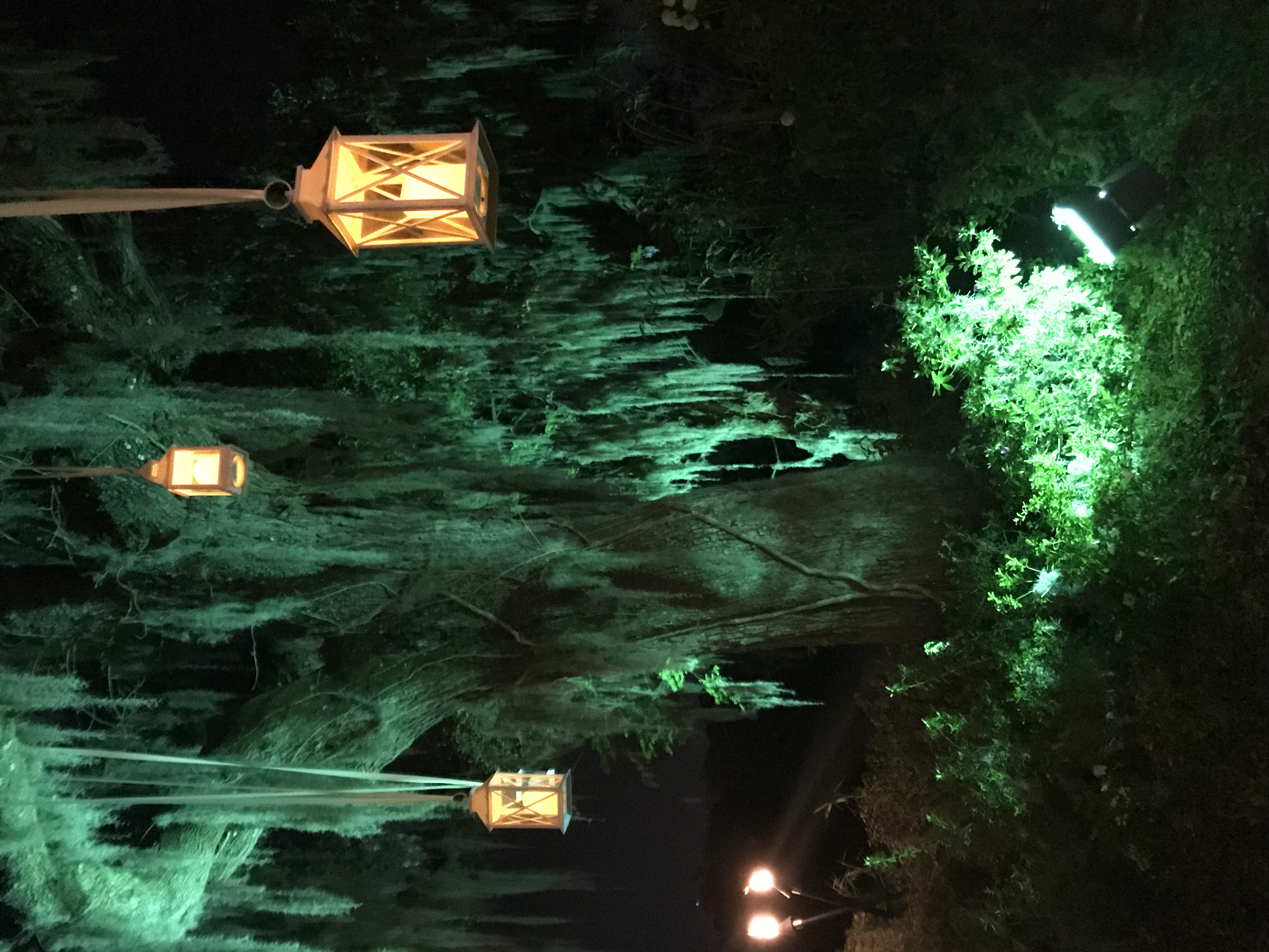 White Lanterns