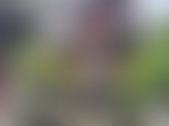 Shanghai: Yu Garden - all you need to know before you go