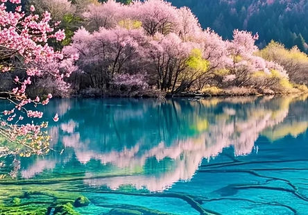 Chengdu JiuzhaiGou 2-Day Tour