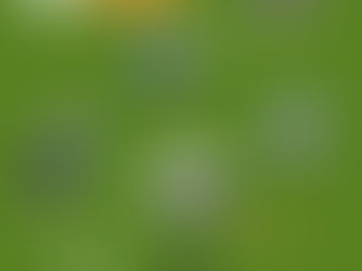 Beyond the City: The Best 1-2 Day Side Trips from Chengdu