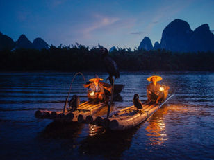 Yangshuo: Cormorant Fishing —A Living Tradition You Can Experience
