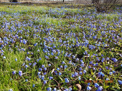 Изображение 847